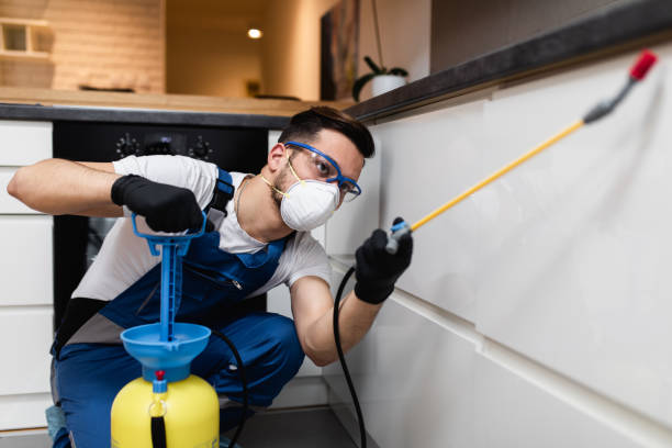 Best Mosquito Control Services  in Brookville, PA