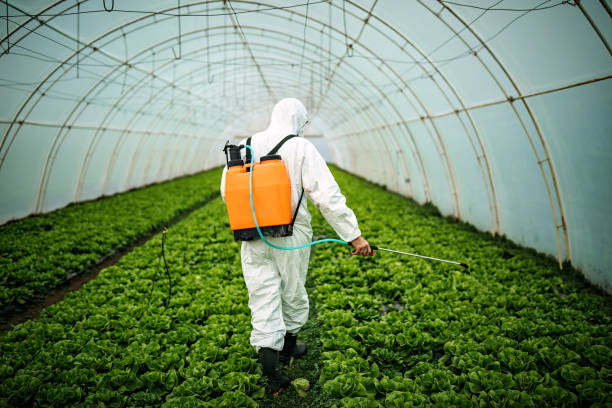 Best Pest Control Near Me in Brookville, PA