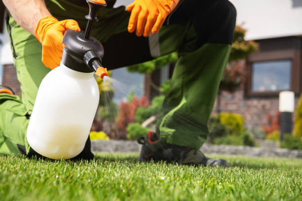 Pest Control for Restaurants in Brookville, PA