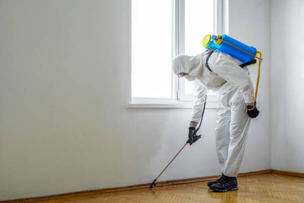 Best Best Pest Control Companies  in Brookville, PA