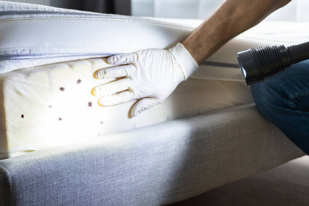  Brookville, PA Pest Control Pros