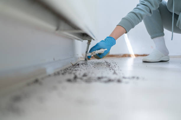 Pest Control for Restaurants in Brookville, PA
