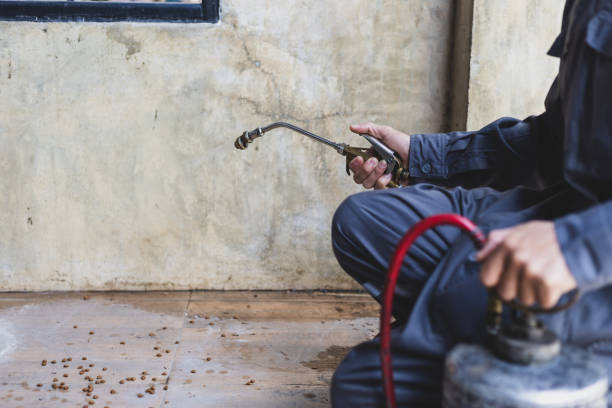 Best Affordable Pest Control Services  in Brookville, PA